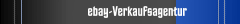 ebay-Verkaufsagentur